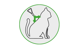 Ein Icon, das zeigt, wie sich Frontline Combo unsichtbar über die Haut der Katze verteilt und schützt.