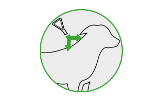 Ein graues Icon mit grünem Rand, das zeigt, wie sich Frontline Combo mit dem natürlichen Talgfilm der Haut verteilt.