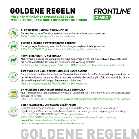 Die goldenen Regeln für die Anwendung von Frontline Combo bei kleinen Hunden.