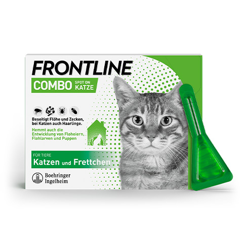 Die Abbildung der Packung von FRONTLINE COMBO Katze mit Pipette.