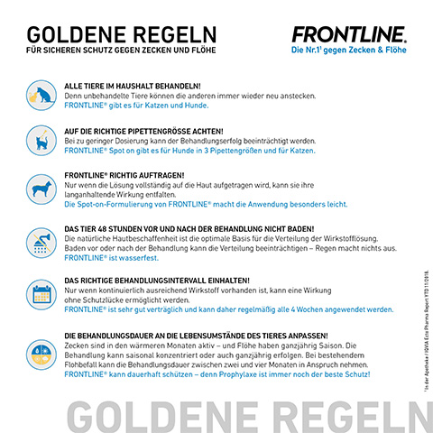 Goldene Regeln für die Anwendung von Frontline bei Hunden.