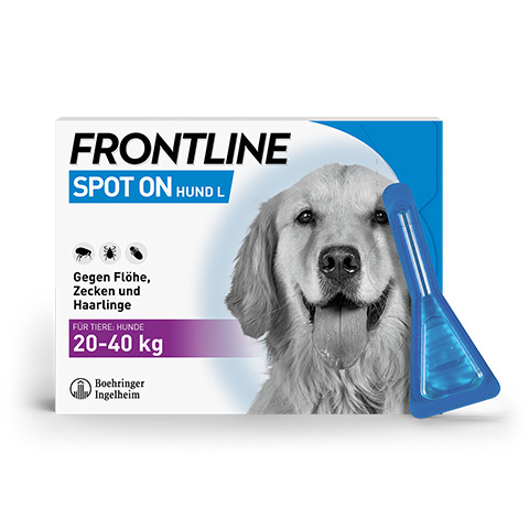 Das Packungsbild von Frontline Spot On Hund L mit Pipette.