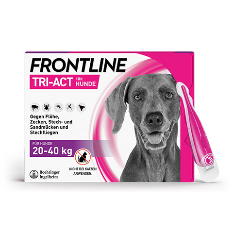 Die Packung von Frontline Tri-Act für große Hunde von 20 bis 40 Kilogramm.