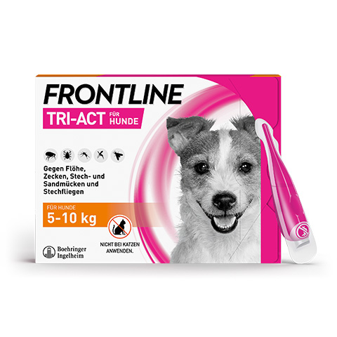 Die Packung von Frontline Tri-Act für kleine Hunde von 5 bis 10 kg.