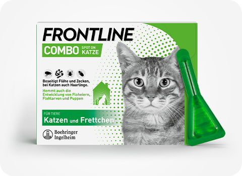 Frontline Combo ist der neueste Zuwachs der Frontline-Familie und auch für Frettchen erhältlich.