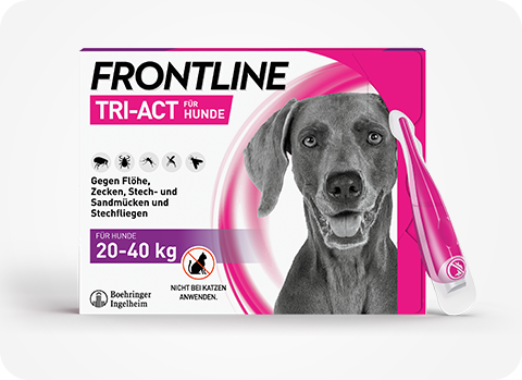 Frontline Tri-Act ist der moderne Parasitenschutz für Hunde und wirkt noch schneller und effektiver.