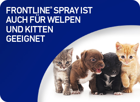 Frontline Spray eignet sich für Welpen und Kitten als Zeckenspray und Flohspray schon ab dem ersten Lebenstag.