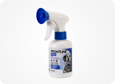 Frontline Spray wirkt gegen Zecken, Flöhe und Haarlinge bei Katze und Hund und ist so ein Zeckenspray und Flohspray.
