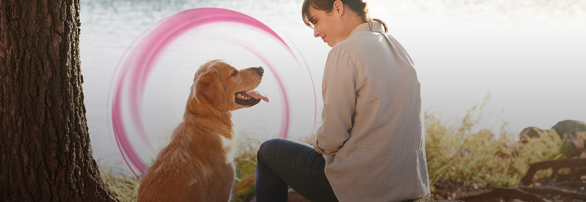 Frontline Tri-Act, das Zeckenmittel für Hunde gegen Zecken, Flöhe und Mücken, die Leishmaniose übertragen können.