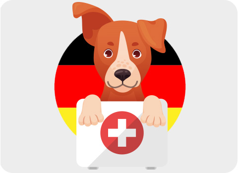 Bei der Reise innerhalb Deutschlands mit Hund auf ausreichend Flohschutz und Zeckenmittel achten.