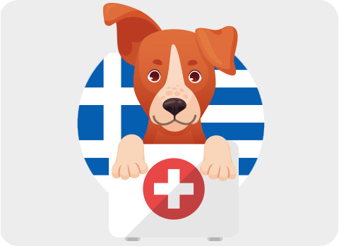 Bei der Reise mit Hund nach Griechenland benötigt es eine effektive Reiseapotheke.