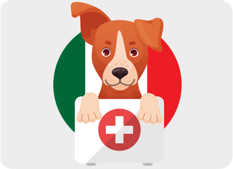 Bei der Reise mit Hund nach Italien benötigt es eine effektive Reiseapotheke.