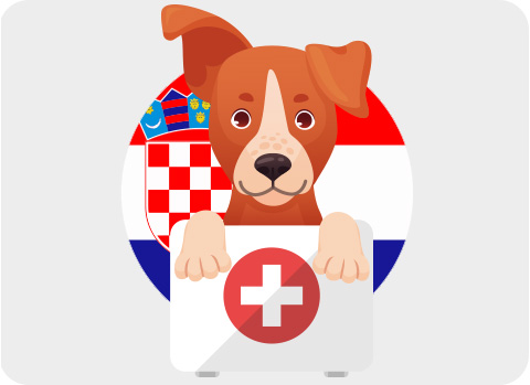 Bei der Reise mit Hund nach Kroatien benötigt es eine effektive Reiseapotheke.