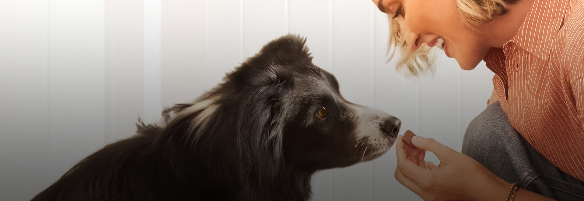 FRONTPRO Kautablette gegen Zecken und Flöhe wirkt bei Hunden effektiv.
