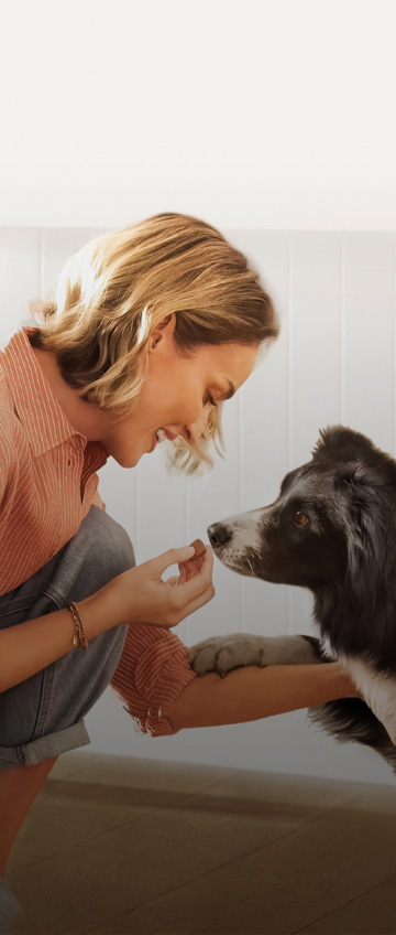 FRONTPRO Zeckentablette und Flohtablette gegen Zecken und Flöhe wirkt bei Hunden effektiv.