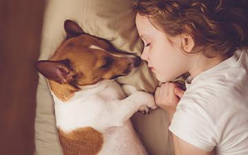 Ein kleiner Hund, der neben einem Mädchen schläft. Enger Kontakt kann zu Zoonosen führen.