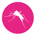 Frontline Tri-Act wirkt noch schneller gegen fliegende Insekten wie Stechmücken bei Hunden.